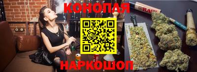 дживик Бийск