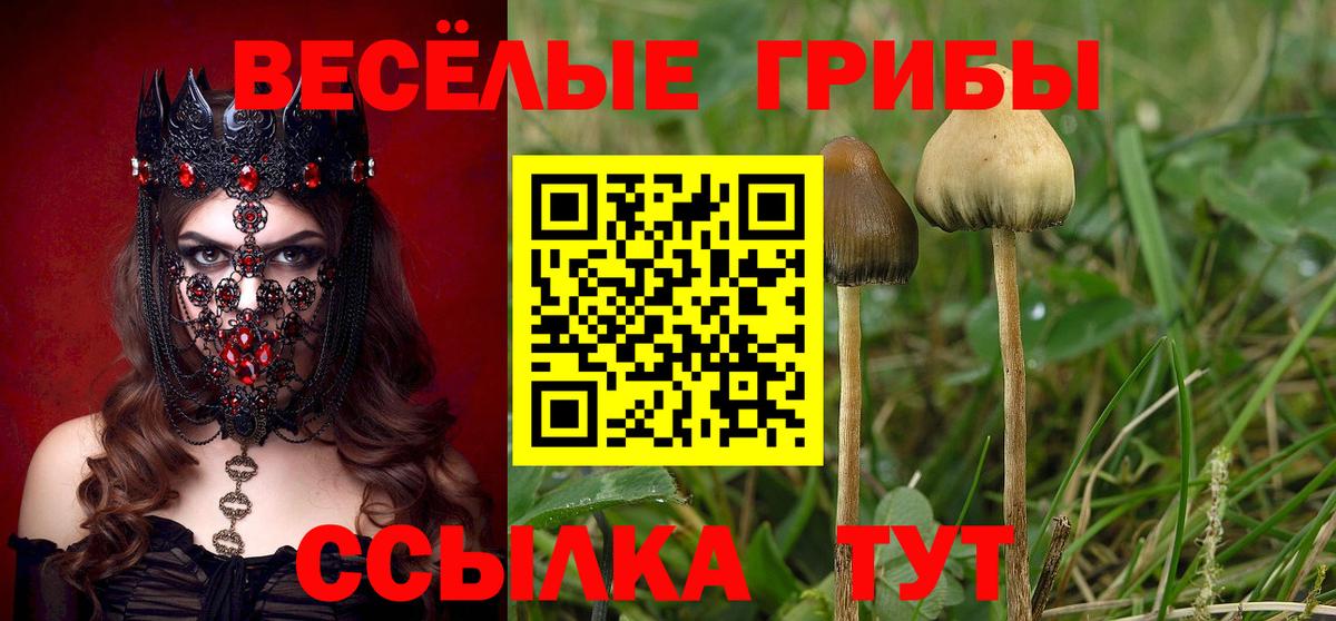 Галлюциногенные грибы Magic Shrooms Ахтубинск